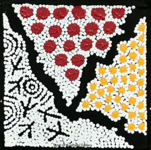 The Emu and Quantum seeds by Peter Overs